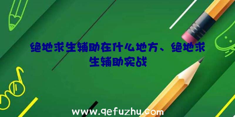 绝地求生辅助在什么地方、绝地求生辅助实战