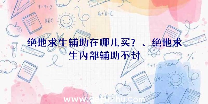 绝地求生辅助在哪儿买？、绝地求生内部辅助不封