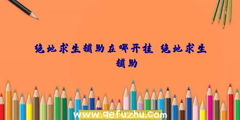 绝地求生辅助在哪开挂、绝地求生wk辅助