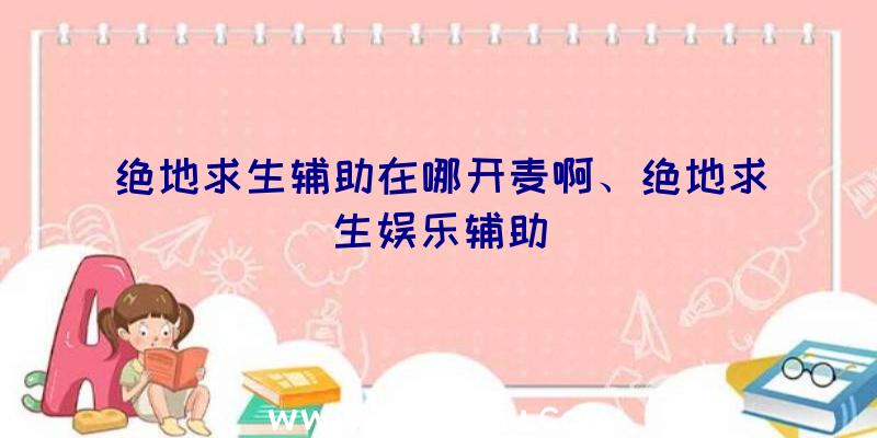 绝地求生辅助在哪开麦啊、绝地求生娱乐辅助