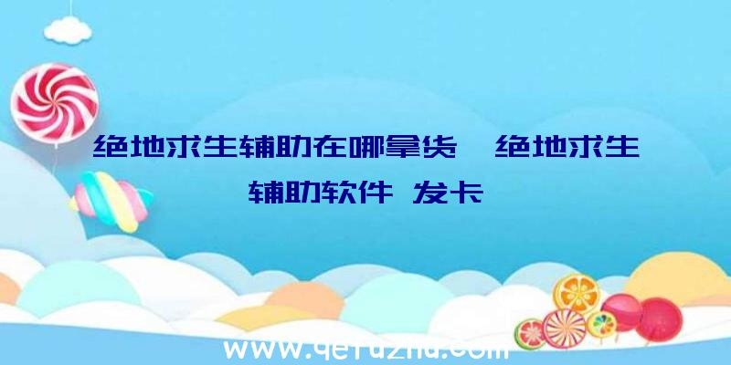 绝地求生辅助在哪拿货、绝地求生辅助软件