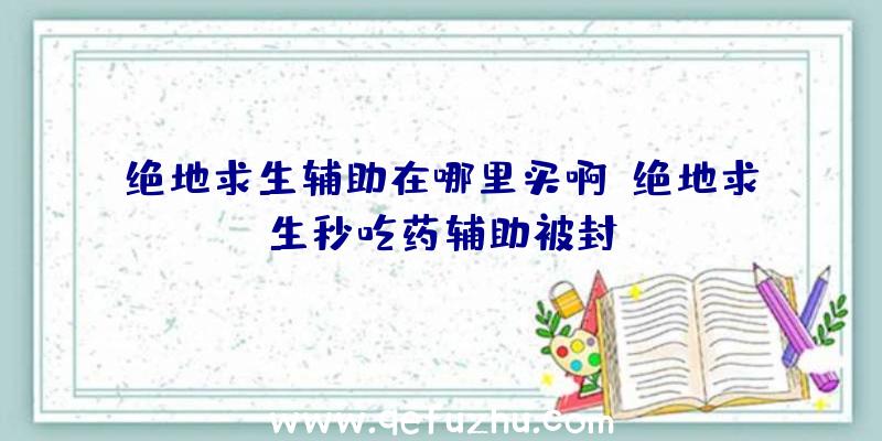 绝地求生辅助在哪里买啊、绝地求生秒吃药辅助被封