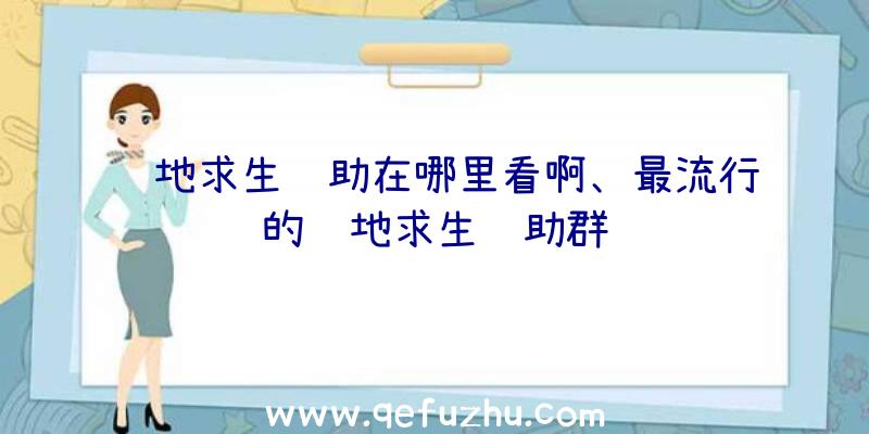 绝地求生辅助在哪里看啊、最流行的绝地求生辅助群