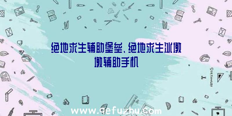 绝地求生辅助堡垒、绝地求生冰墩墩辅助手机