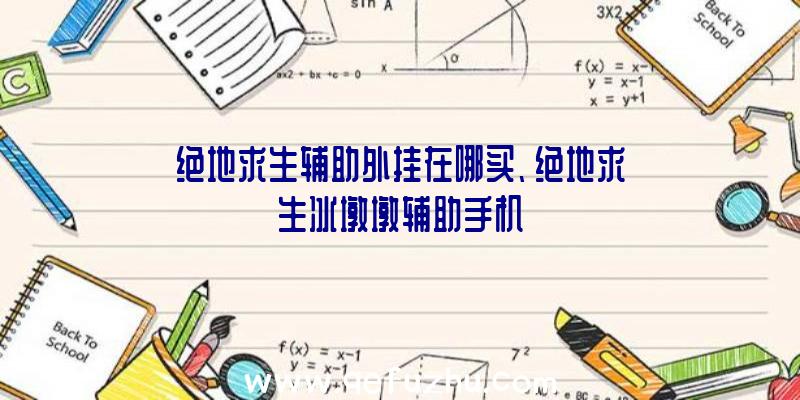 绝地求生辅助外挂在哪买、绝地求生冰墩墩辅助手机