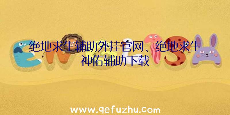 绝地求生辅助外挂官网、绝地求生神佑辅助下载