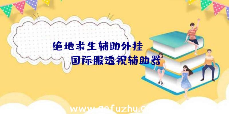 绝地求生辅助外挂qq、pubg国际服透视辅助器