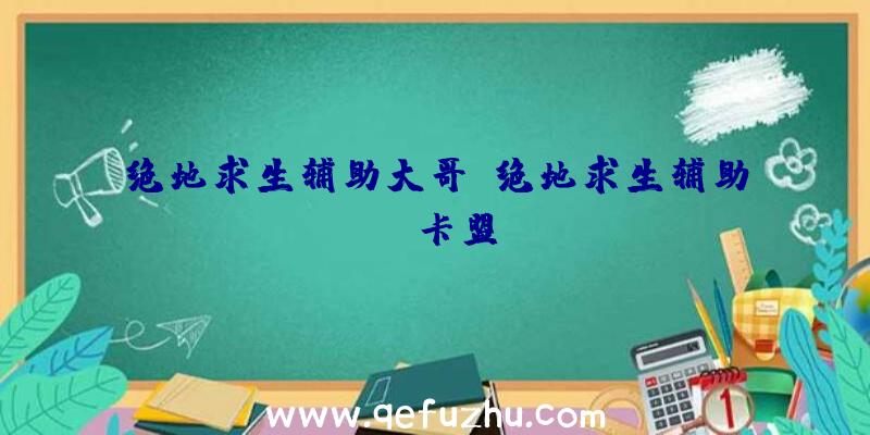 绝地求生辅助大哥、绝地求生辅助fz卡盟