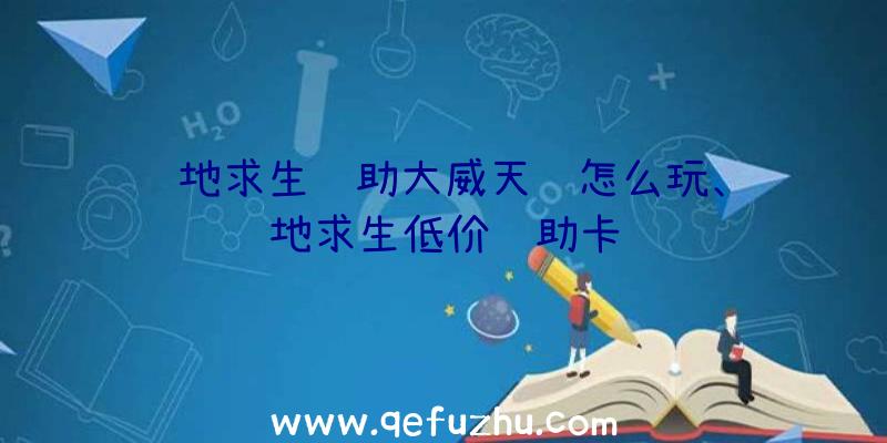 绝地求生辅助大威天龙怎么玩、绝地求生低价辅助卡