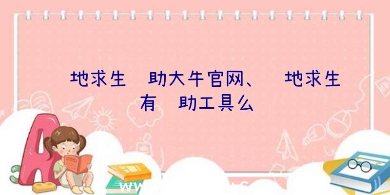 绝地求生辅助大牛官网、绝地求生有辅助工具么