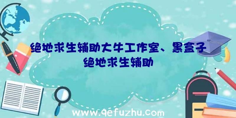 绝地求生辅助大牛工作室、黑盒子绝地求生辅助