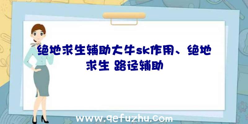 绝地求生辅助大牛sk作用、绝地求生