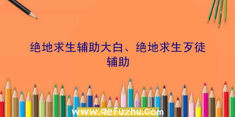 绝地求生辅助大白、绝地求生歹徒辅助