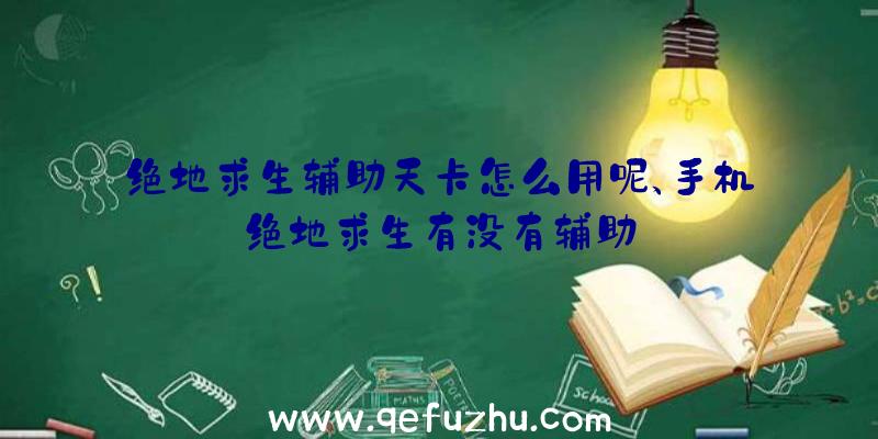 绝地求生辅助天卡怎么用呢、手机绝地求生有没有辅助