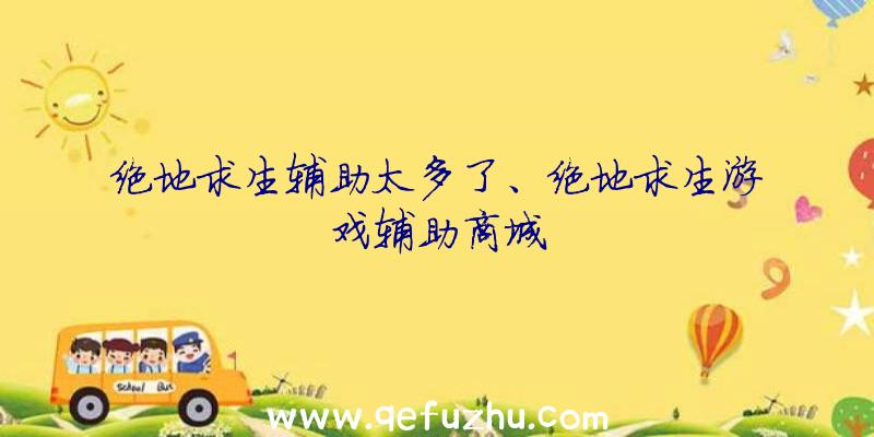 绝地求生辅助太多了、绝地求生游戏辅助商城