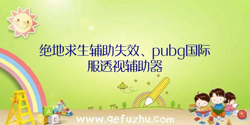 绝地求生辅助失效、pubg国际服透视辅助器