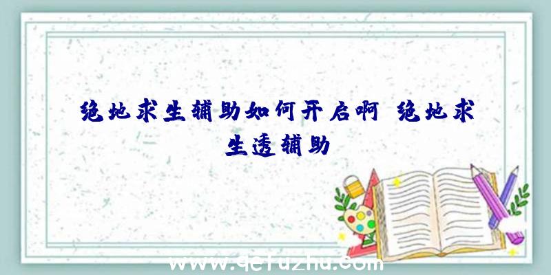 绝地求生辅助如何开启啊、绝地求生透辅助