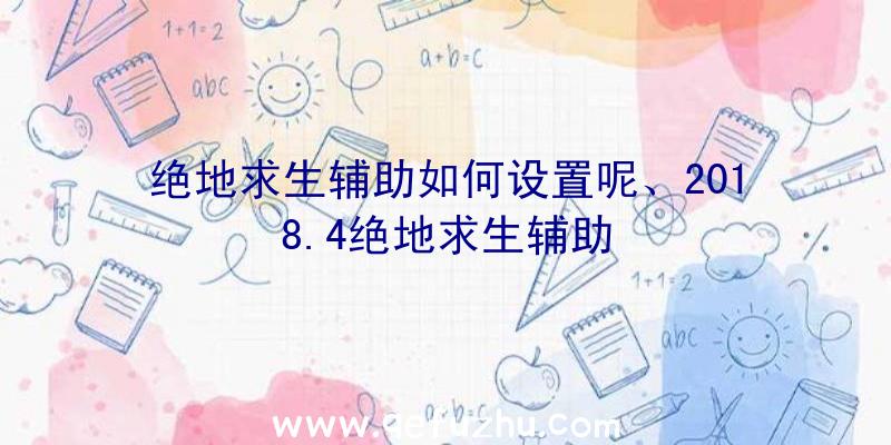 绝地求生辅助如何设置呢、2018.4绝地求生辅助