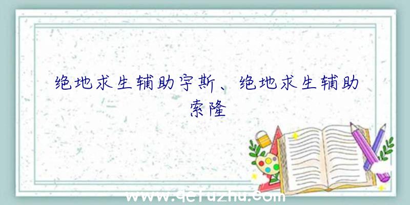 绝地求生辅助宇斯、绝地求生辅助索隆