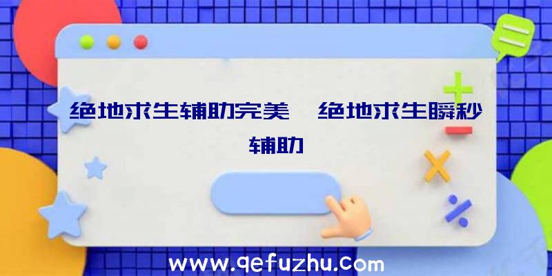 绝地求生辅助完美、绝地求生瞬秒辅助