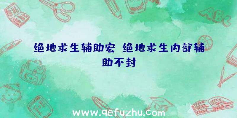 绝地求生辅助宏、绝地求生内部辅助不封