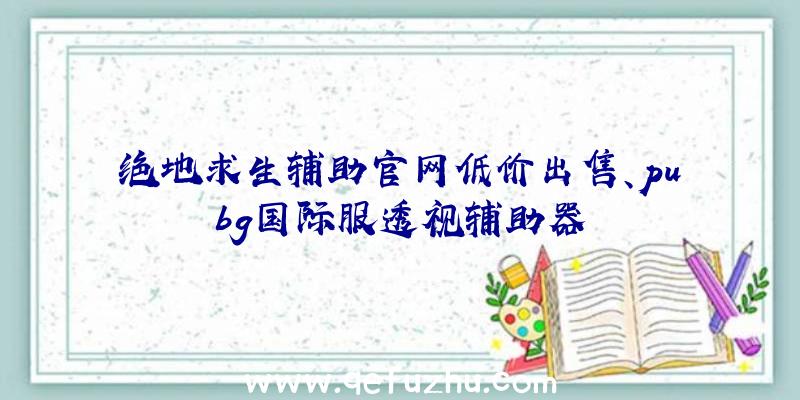 绝地求生辅助官网低价出售、pubg国际服透视辅助器