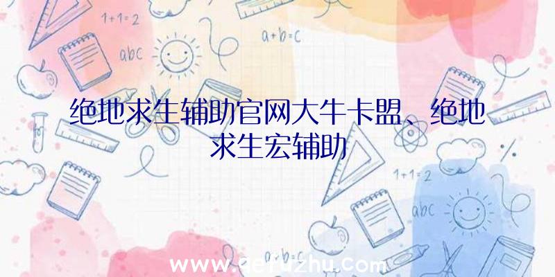 绝地求生辅助官网大牛卡盟、绝地求生宏辅助