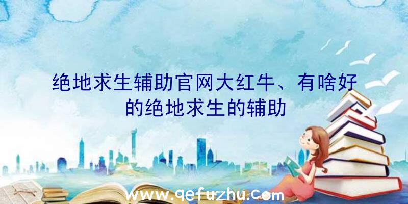 绝地求生辅助官网大红牛、有啥好的绝地求生的辅助