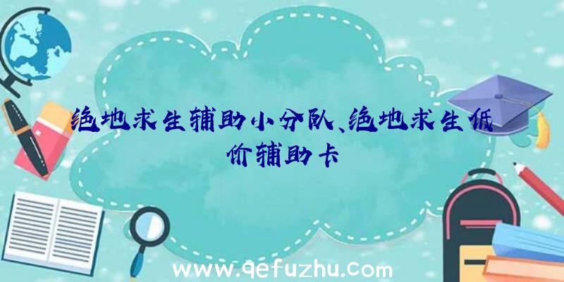 绝地求生辅助小分队、绝地求生低价辅助卡