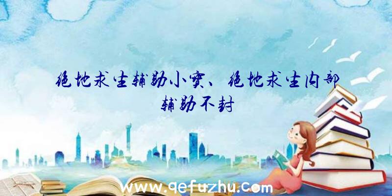 绝地求生辅助小宝、绝地求生内部辅助不封