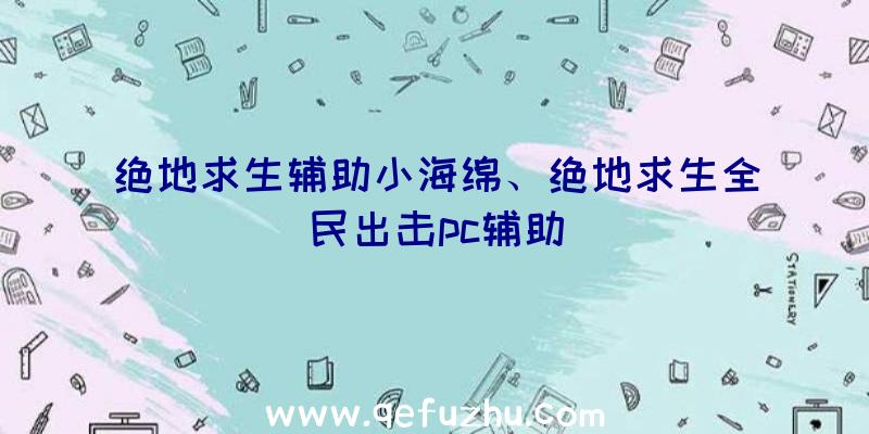 绝地求生辅助小海绵、绝地求生全民出击pc辅助