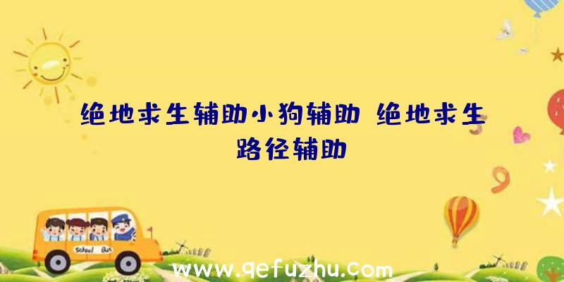 绝地求生辅助小狗辅助、绝地求生