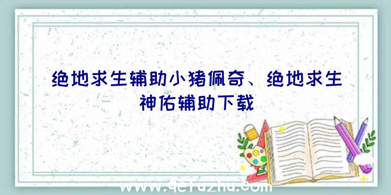 绝地求生辅助小猪佩奇、绝地求生神佑辅助下载