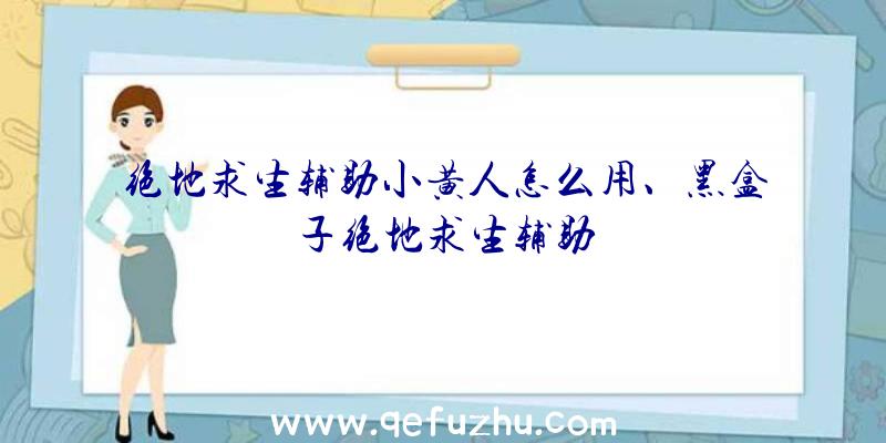 绝地求生辅助小黄人怎么用、黑盒子绝地求生辅助