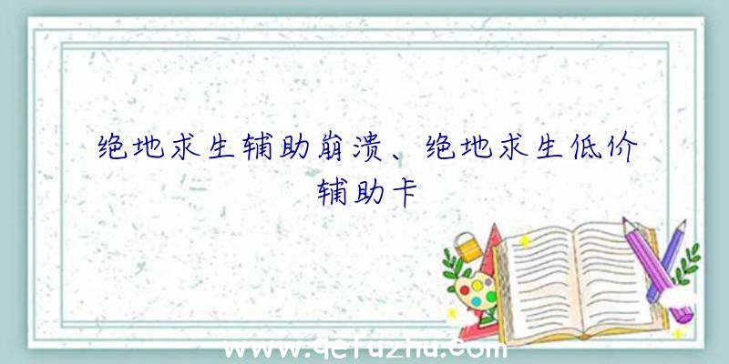 绝地求生辅助崩溃、绝地求生低价辅助卡