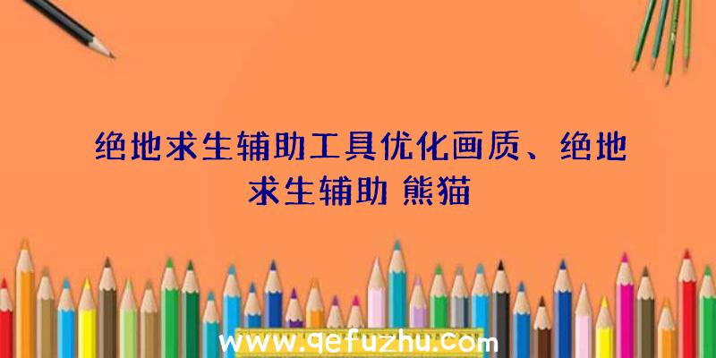 绝地求生辅助工具优化画质、绝地求生辅助