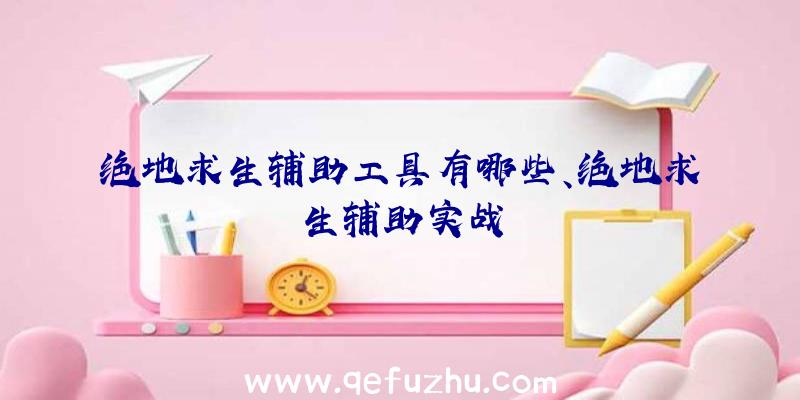 绝地求生辅助工具有哪些、绝地求生辅助实战