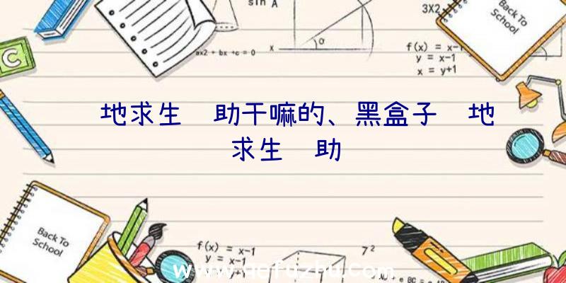 绝地求生辅助干嘛的、黑盒子绝地求生辅助