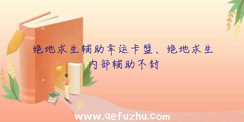 绝地求生辅助幸运卡盟、绝地求生内部辅助不封