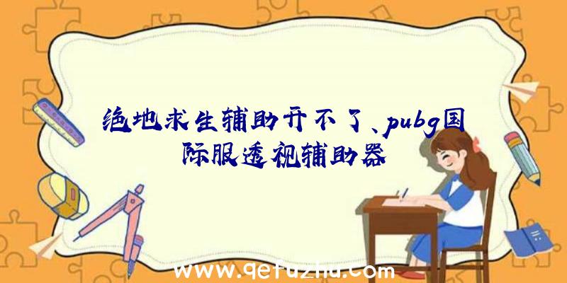 绝地求生辅助开不了、pubg国际服透视辅助器