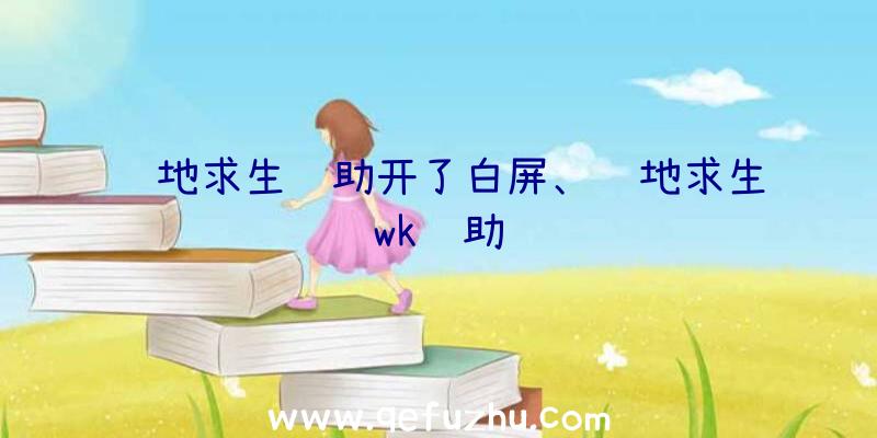 绝地求生辅助开了白屏、绝地求生wk辅助