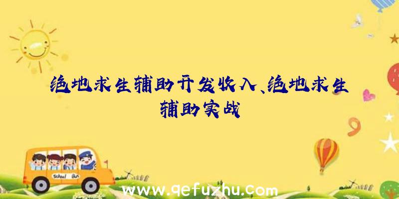 绝地求生辅助开发收入、绝地求生辅助实战