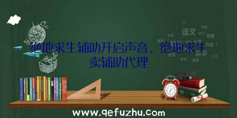 绝地求生辅助开启声音、绝地求生卖辅助代理