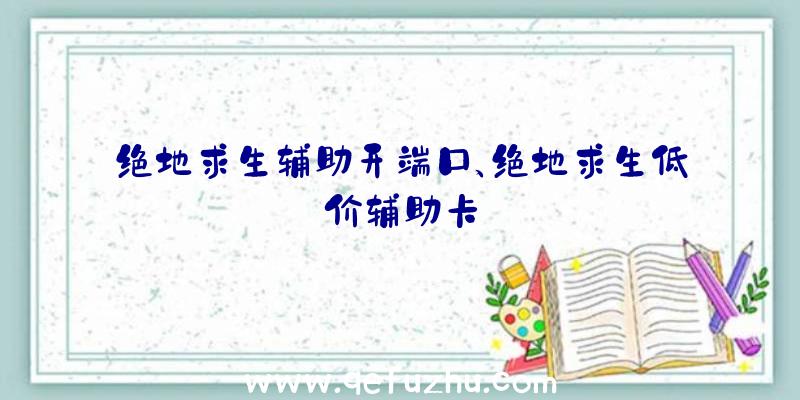 绝地求生辅助开端口、绝地求生低价辅助卡