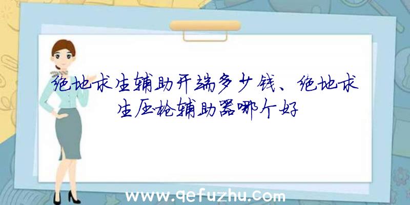 绝地求生辅助开端多少钱、绝地求生压枪辅助器哪个好