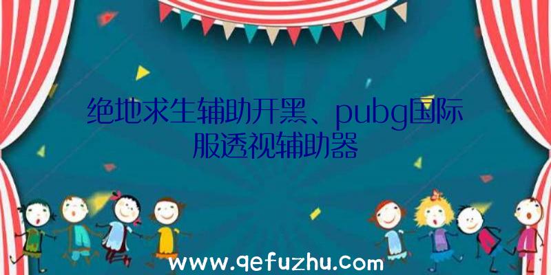 绝地求生辅助开黑、pubg国际服透视辅助器