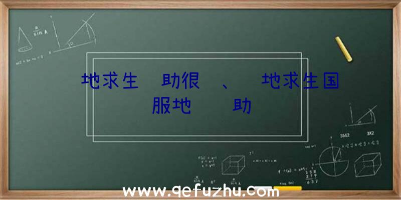 绝地求生辅助很贵、绝地求生国际服地铁辅助