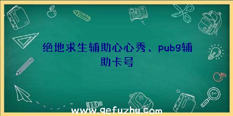 绝地求生辅助心心秀、pubg辅助卡号