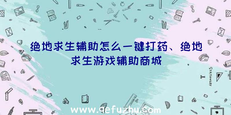 绝地求生辅助怎么一键打药、绝地求生游戏辅助商城