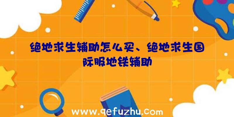 绝地求生辅助怎么买、绝地求生国际服地铁辅助